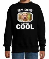 Staffordshire bull terrier honden trui sweater my dog is serious cool zwart voor kinderen