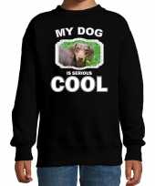 Teckel honden trui sweater my dog is serious cool zwart voor kinderen
