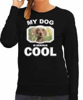 Weimaraner honden sweater trui my dog is serious cool zwart voor dames