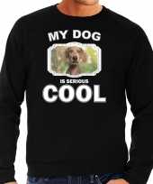 Weimaraner honden sweater trui my dog is serious cool zwart voor heren