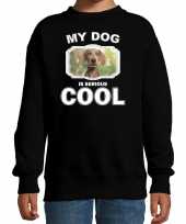 Weimaraner honden trui sweater my dog is serious cool zwart voor kinderen