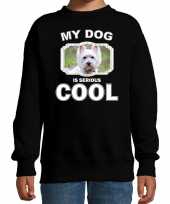 West terrier honden trui sweater my dog is serious cool zwart voor kinderen