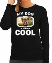 Yorkshire terrier honden sweater trui my dog is serious cool zwart voor dames