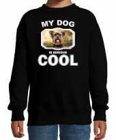 Yorkshire terrier honden trui sweater my dog is serious cool zwart voor kinderen 10256694